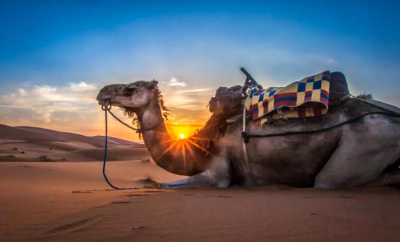 Holiday Desert Camp Merzouga Luaran gambar